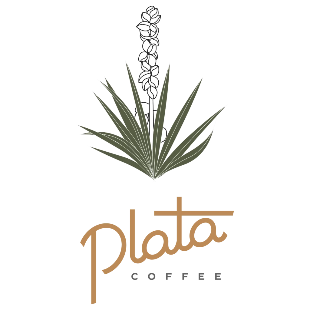 plata logo 1 1024x1024