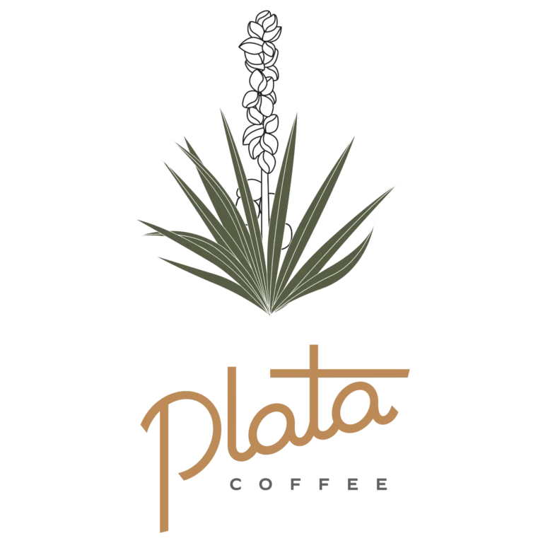 plata logo 1 768x768